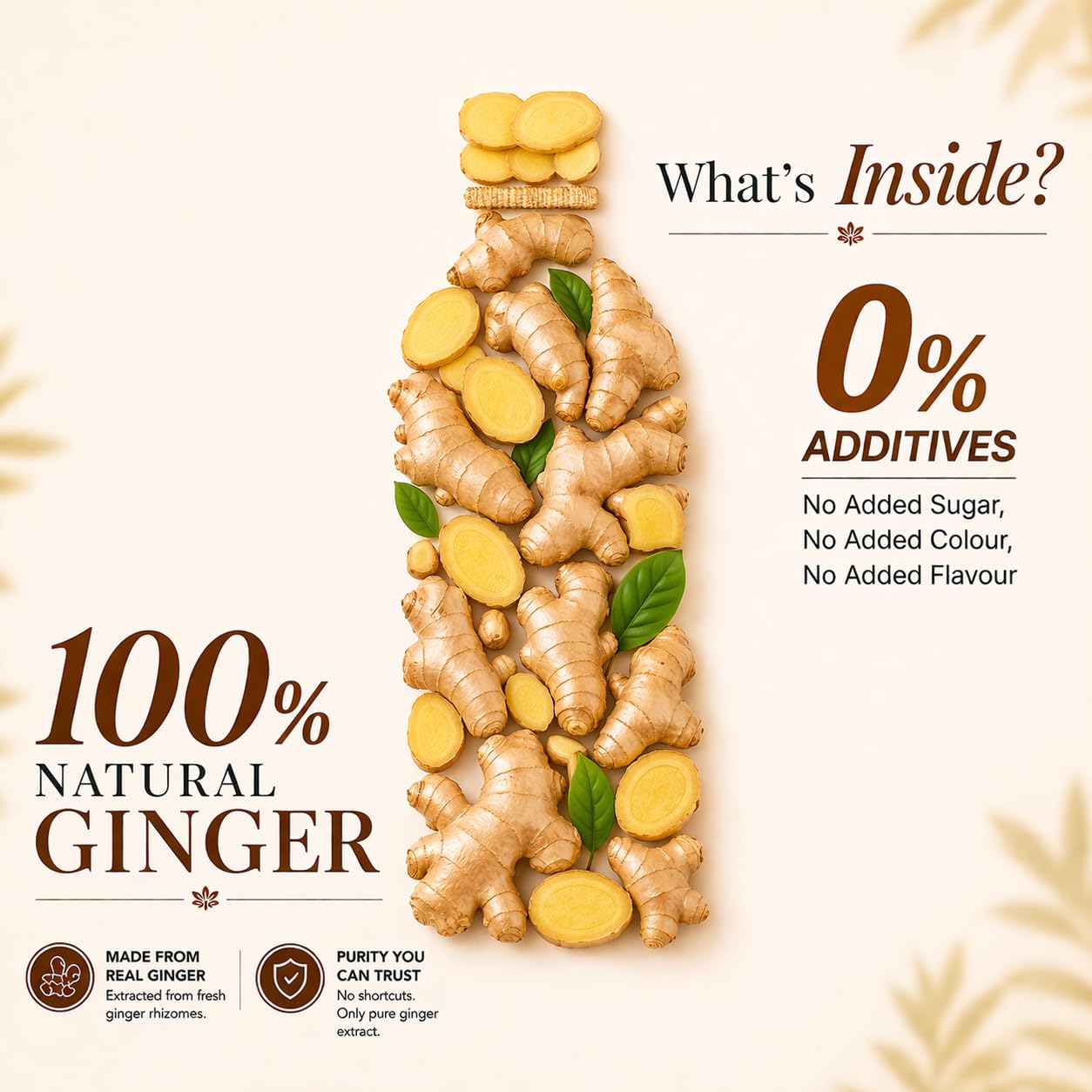 Bhumija Lifesciences Natural Ginger Juice 1L | Sugar Free Adrak Ka Ras | Herbal Digestive Wellness Drink | Supports Metabolism, Weight Management & Daily Immunity | Natural Antioxidant Health Juice (Pack of 3) 2