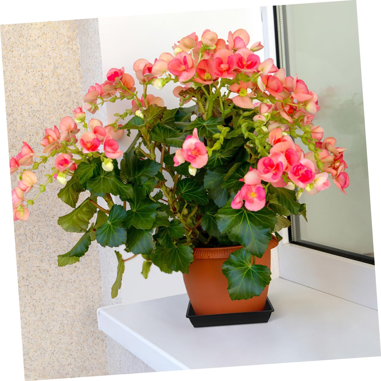 10pcs Flower Pot Saucer Trays for Indoor and Outdoor Plants Plant Drainage Tray Black Square Plastic Plates