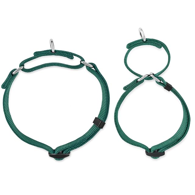 Foto 6 de 6 de Collar de Perro Grande para niños y niñas Stingdy Martingale Resistente a la Fuga