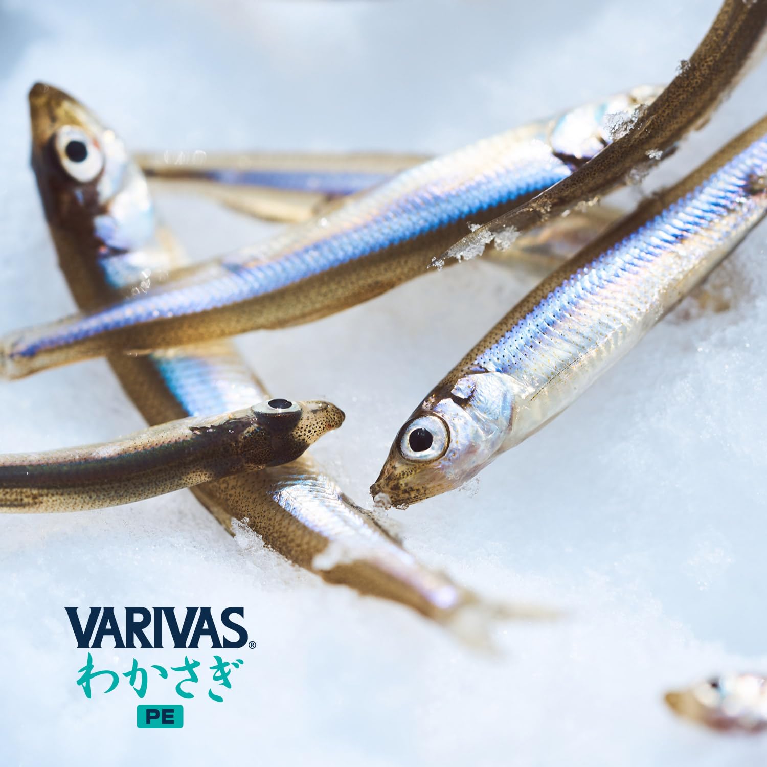 Amazon.co.jp: バリバス(VARIVAS) VARIVAS わかさぎ PE 30m イエロー