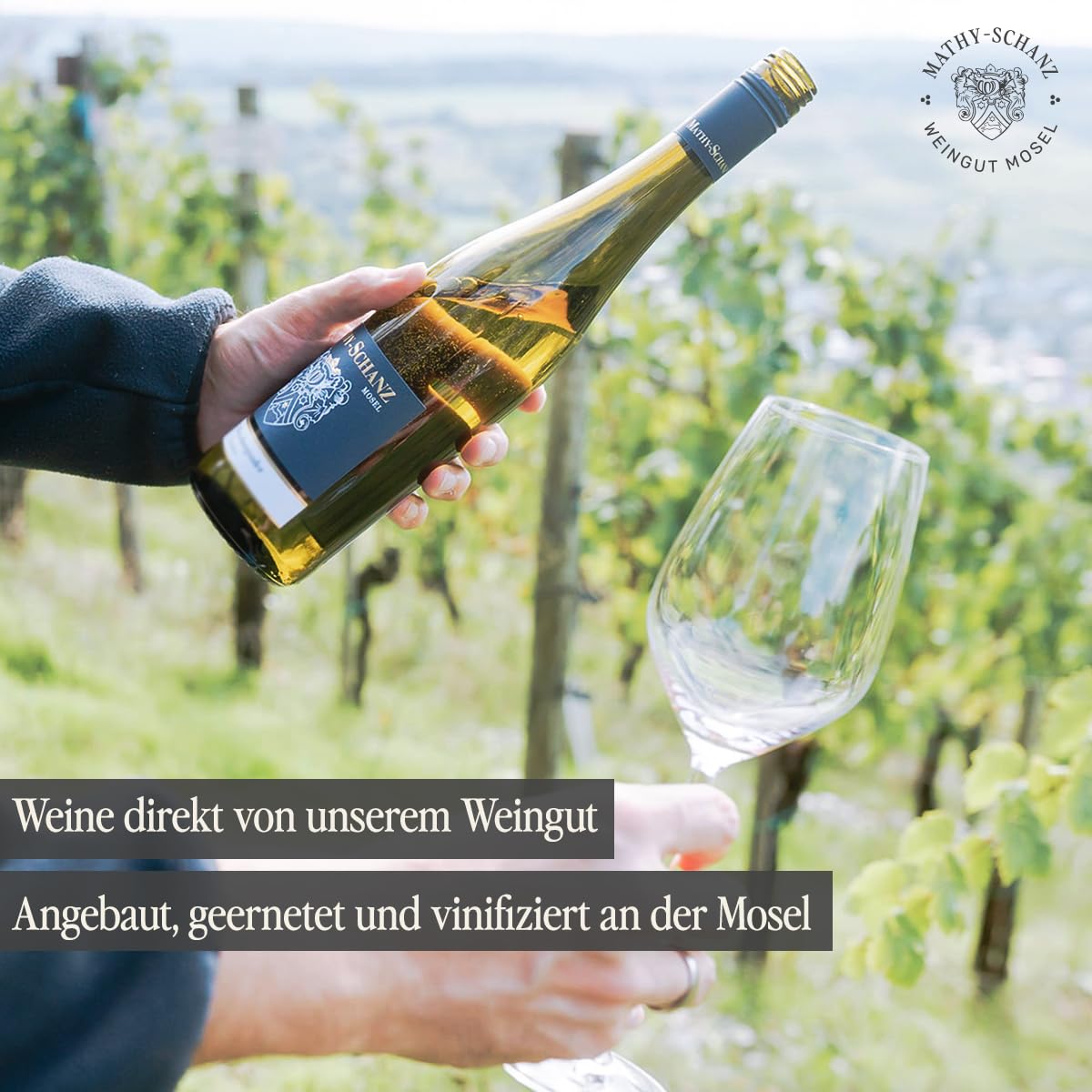 Weingut Mathy-Schanz | Weißwein Halbtrocken - Riesling Probierpaket | Wein von der Mosel | (6 x 0,75l)