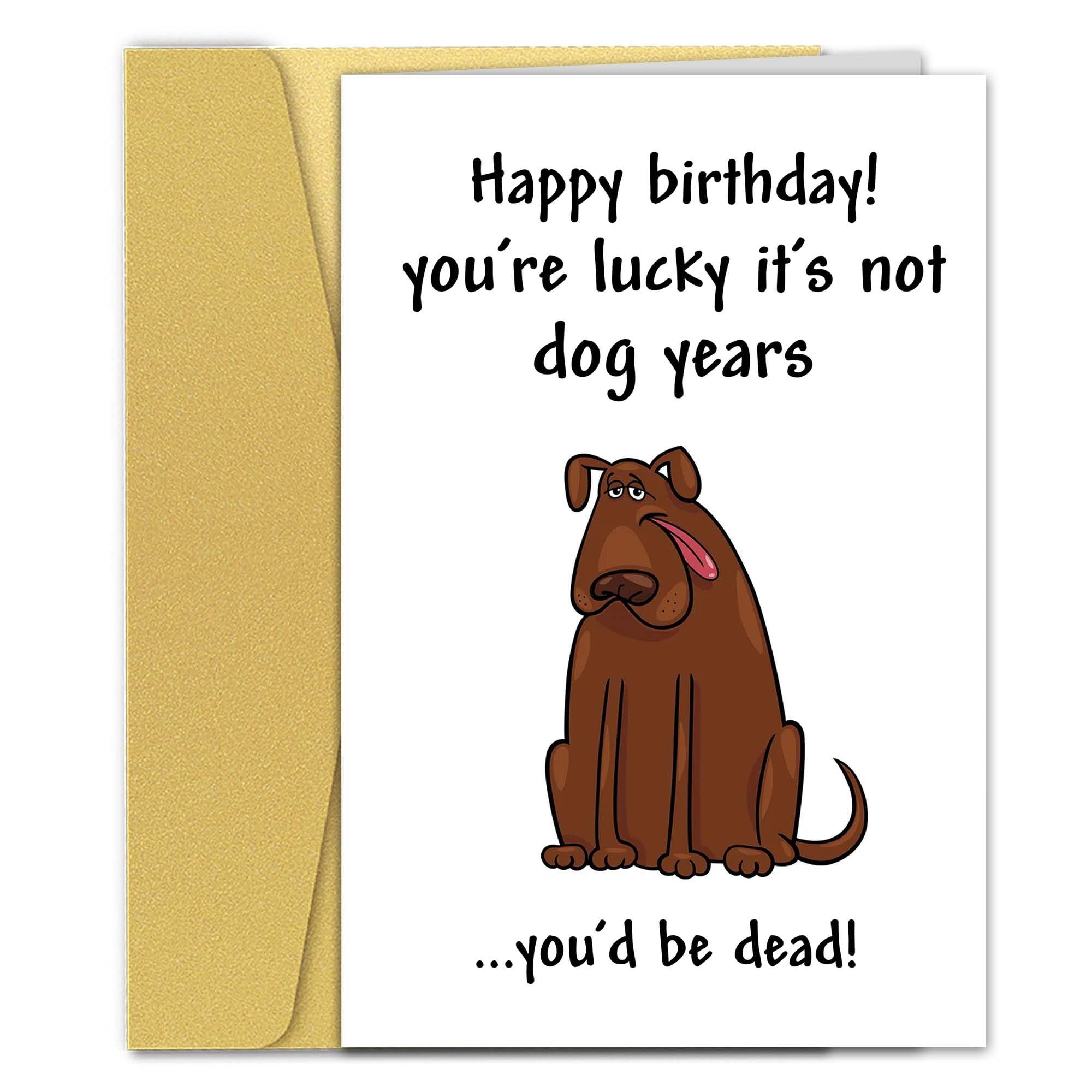 Qiyepbro Funny Happy Birthday Card for Men Women - You're Lucky It's Not Dog Years You'd Be Dead - Dog Greetings Card - Rude Birthday Card for Friend