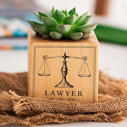 Miniatura 7 de Suculenta Naturacube personalizada para abogados, regalo único para abogados, estudiantes de derecho y profesionales del derecho