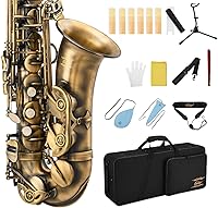 Vista 7 de Saxofón profesional Eastar alto dorado Mi plano Eb con kit de limpieza, estuche de transporte, boquilla, correa para el cuello, lengüetas, soporte