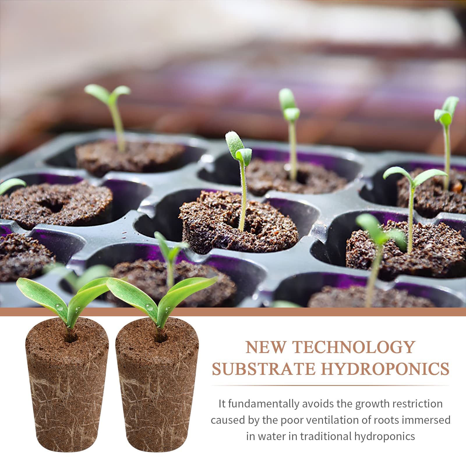 12 Spugne Di Torba Per Idroponica - Per Semi, Erbe E Piante, Biodegradabili - Foto 5