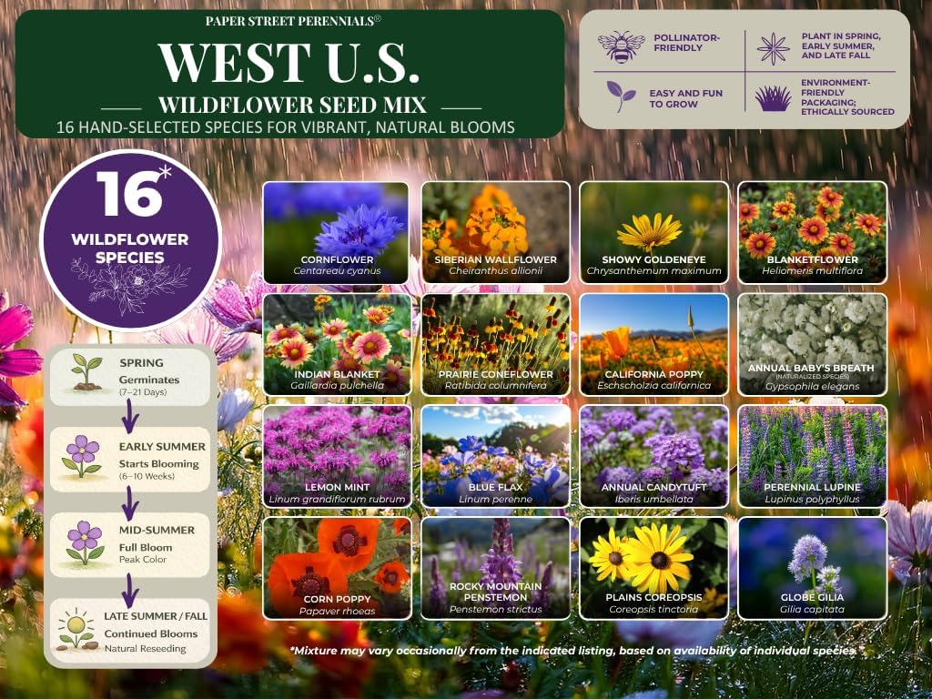 Eastern Washington Wildflower Seed Mix, 1/4 lb Covers 800 sq ft, Multi-Color Perennial and Annual Non-GMO Blooms to Attract Pollinators, Spring and Fall Planting (1/4 Pound)