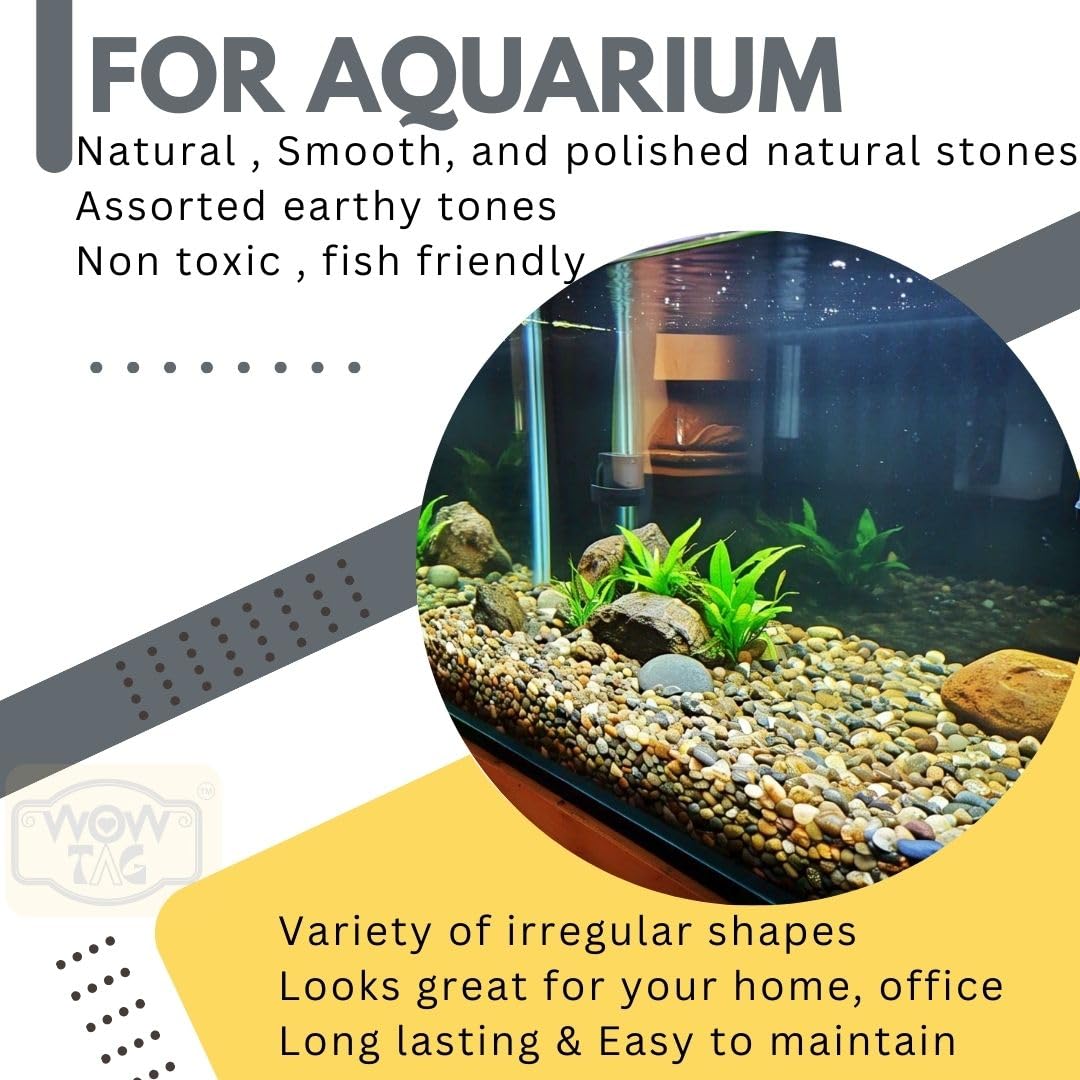 Polished Pebbles - Natural Decorative Stones -7 Polished Pebbles - Natural Decorative Stones -7
