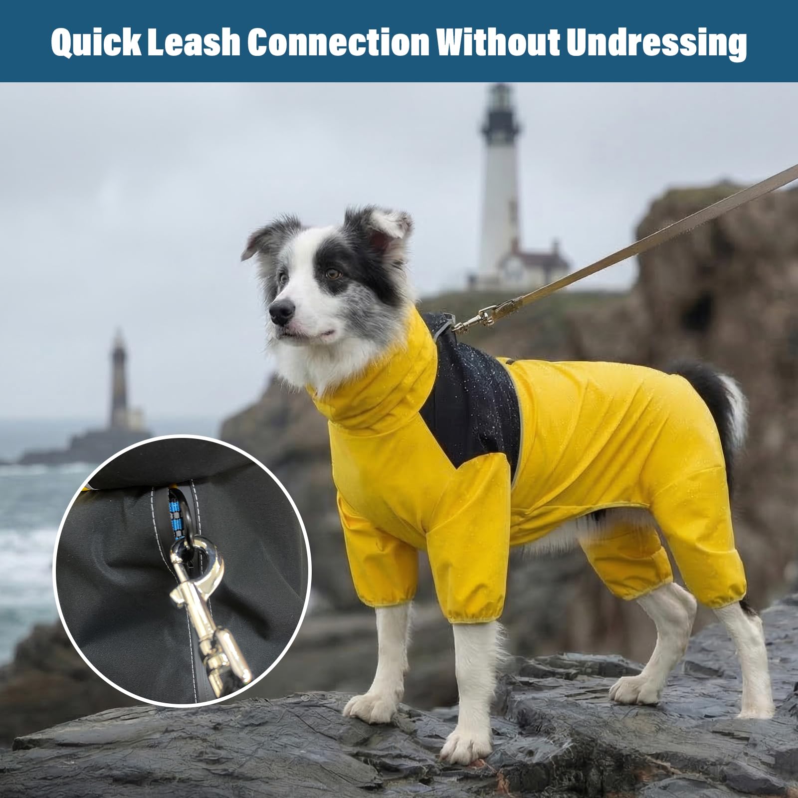 View 5
