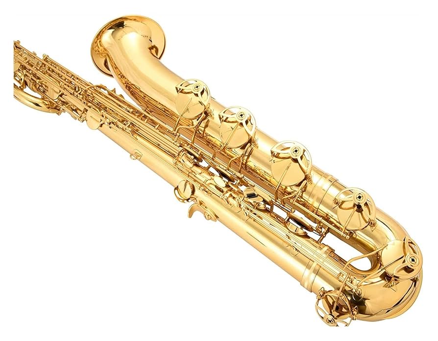 tni　バリトンサックス バリトンサックス – SDwinds