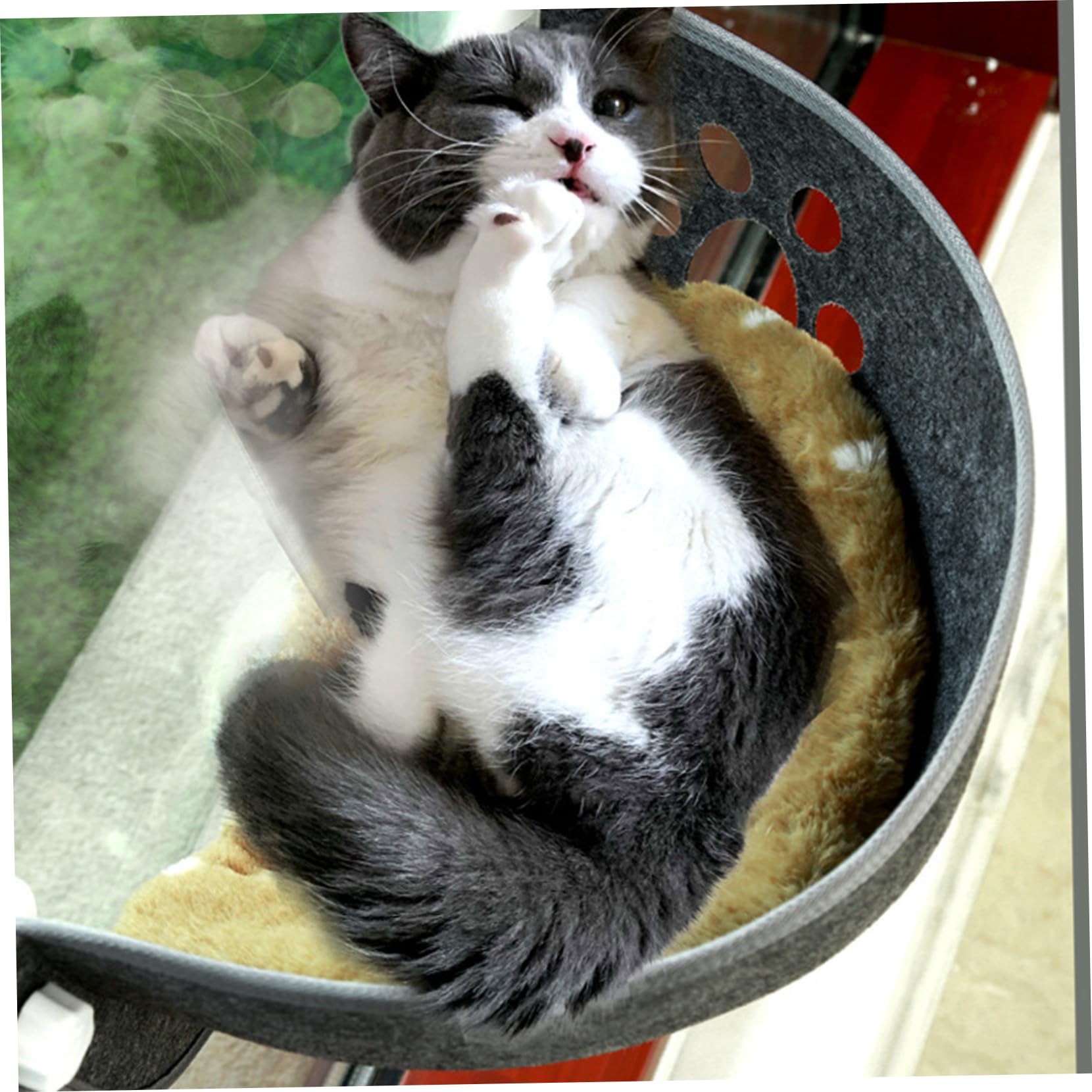 Lit de fenêtre de Chat, Aspiration de lit de Chat Window 20 x 11 x 11 Forme de Mine de fenêtre de Chat Hamac Lavable Cat Car Hamac Soft Cat Lounge Sage pour négligence, Voiture de Chat Hamac