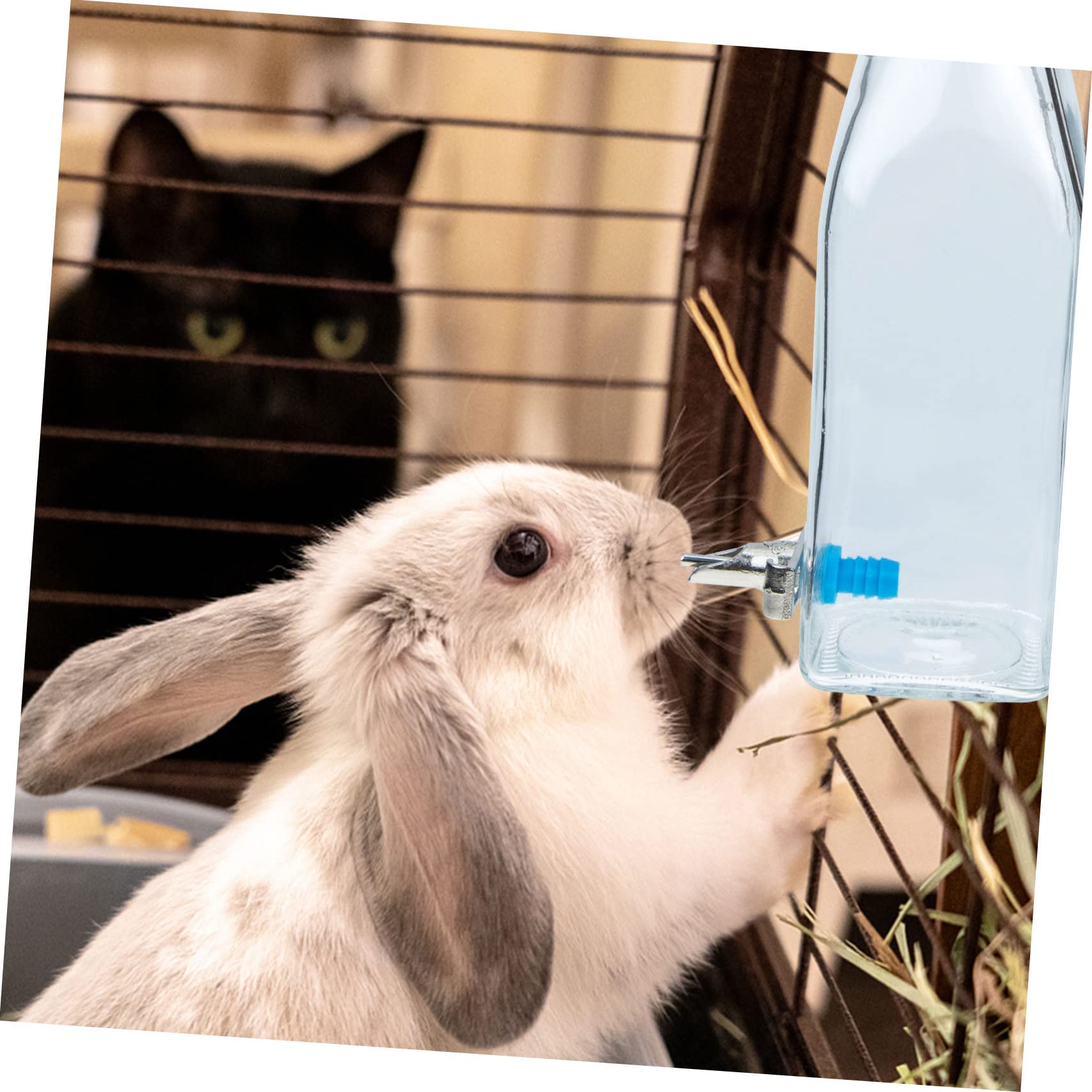 Happyyami Kaninchen Wasserflasche aus Glas und Edelstahl 350ml Hängend für Käfigkaninchen Leise Trinklösung für Täglichen Gebrauch