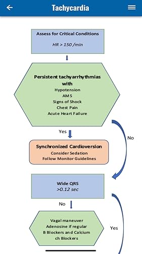 Code Companion