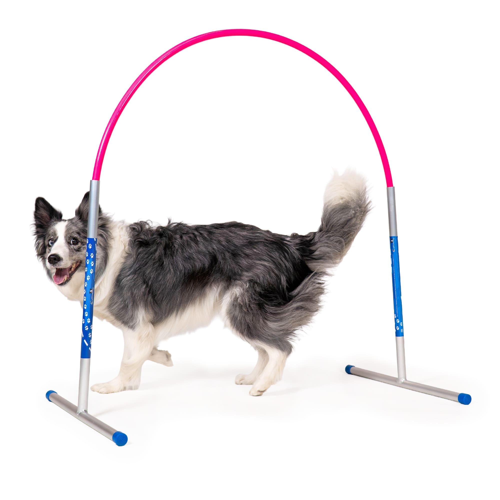 Callieway Hoopers Agility Hoops aus Aluminium, 6er Set ohne Mittelstrebe, frei formbar & universell verstellbar, VDH & NADAC konform