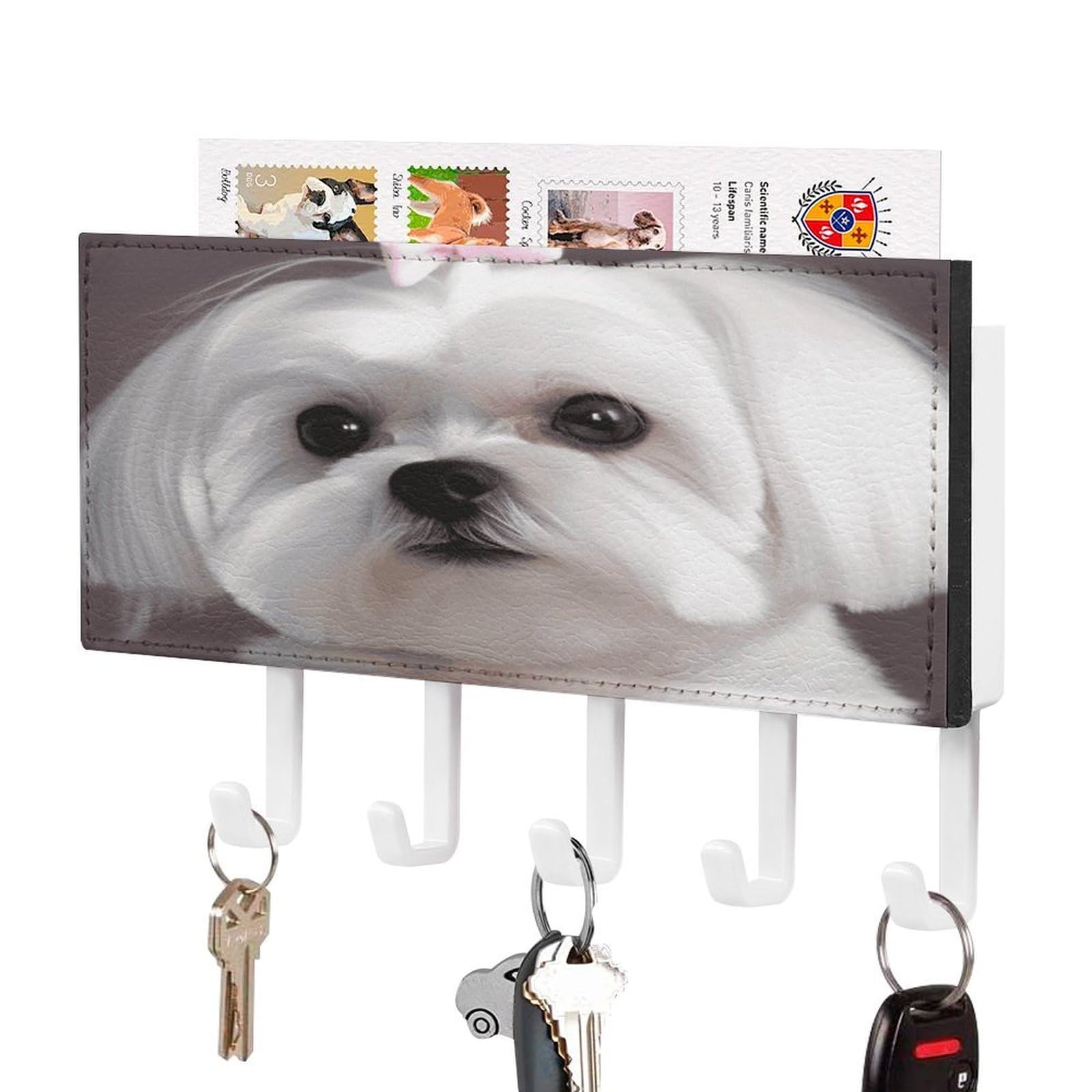 Cuelgallaves de perro maltés para pared con bandeja de correo negra