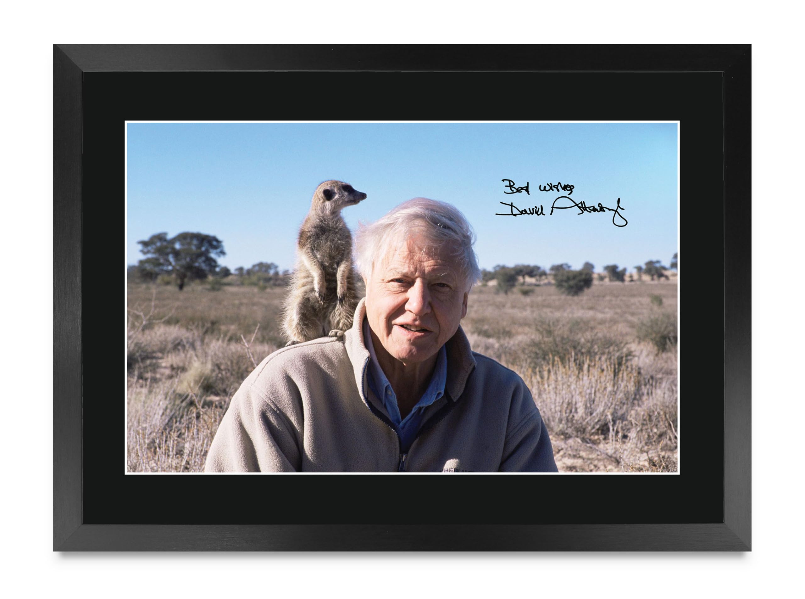 Cuadro de David Attenborough A3 enmarcado para decorar tu salón 8