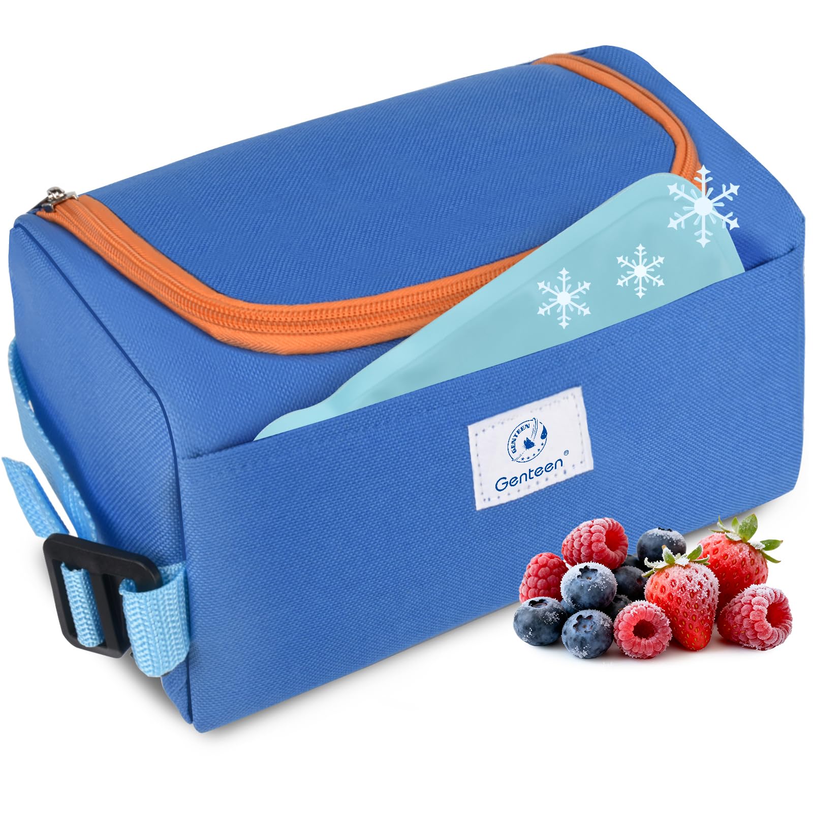 Photo 1 of Genteen Small Cooler Bag with Ice Packs, Insulated Leakproof Reusable Lunch & Snack Tote, BPA free Thermal Cooler Bag for School, Travel, Work and Daily Use,Blue