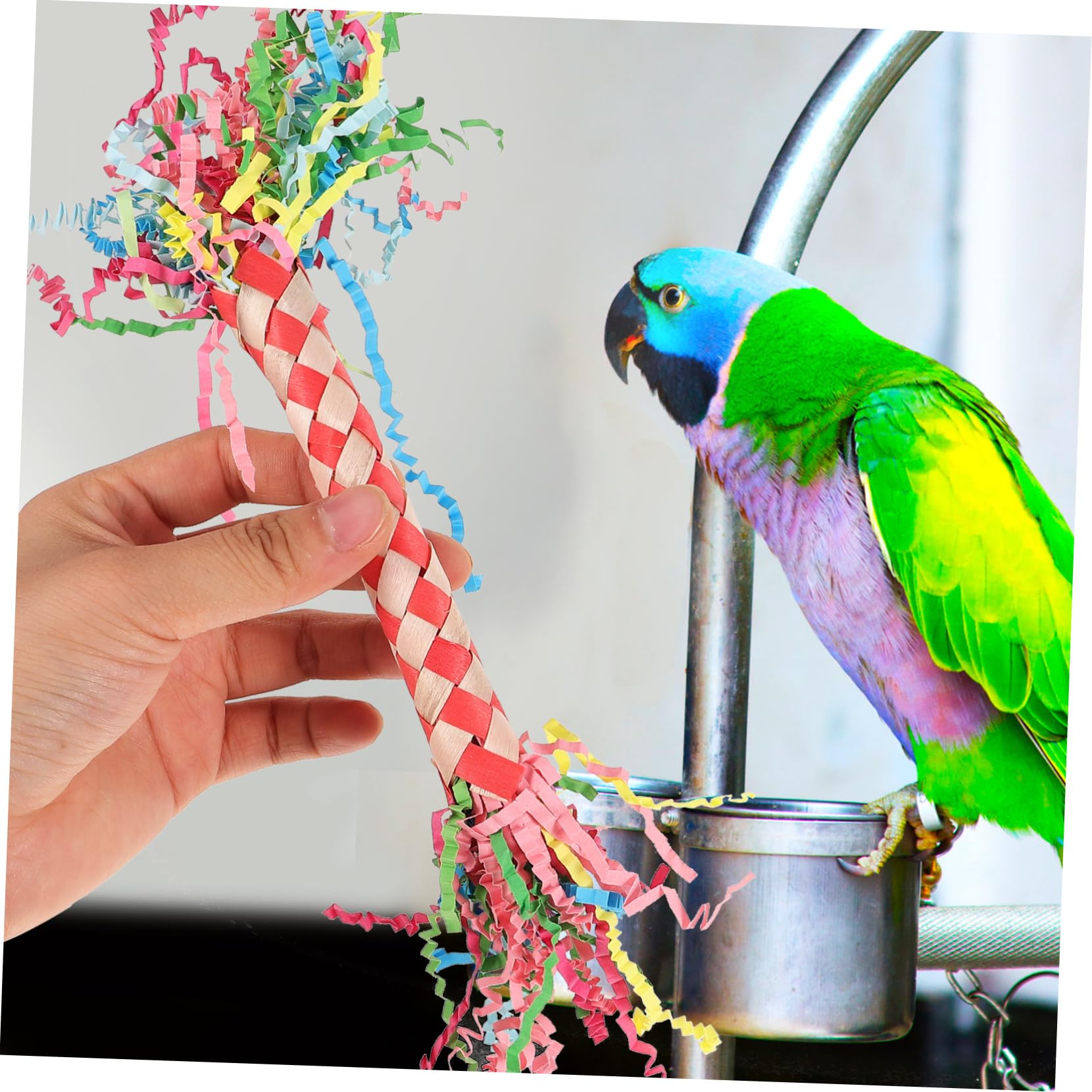 Beavorty 3pièces Jouets à Mâcher pour Oiseaux Accessoires De Décoration pour Perruches Et Perroquets Jouets pour Mastication