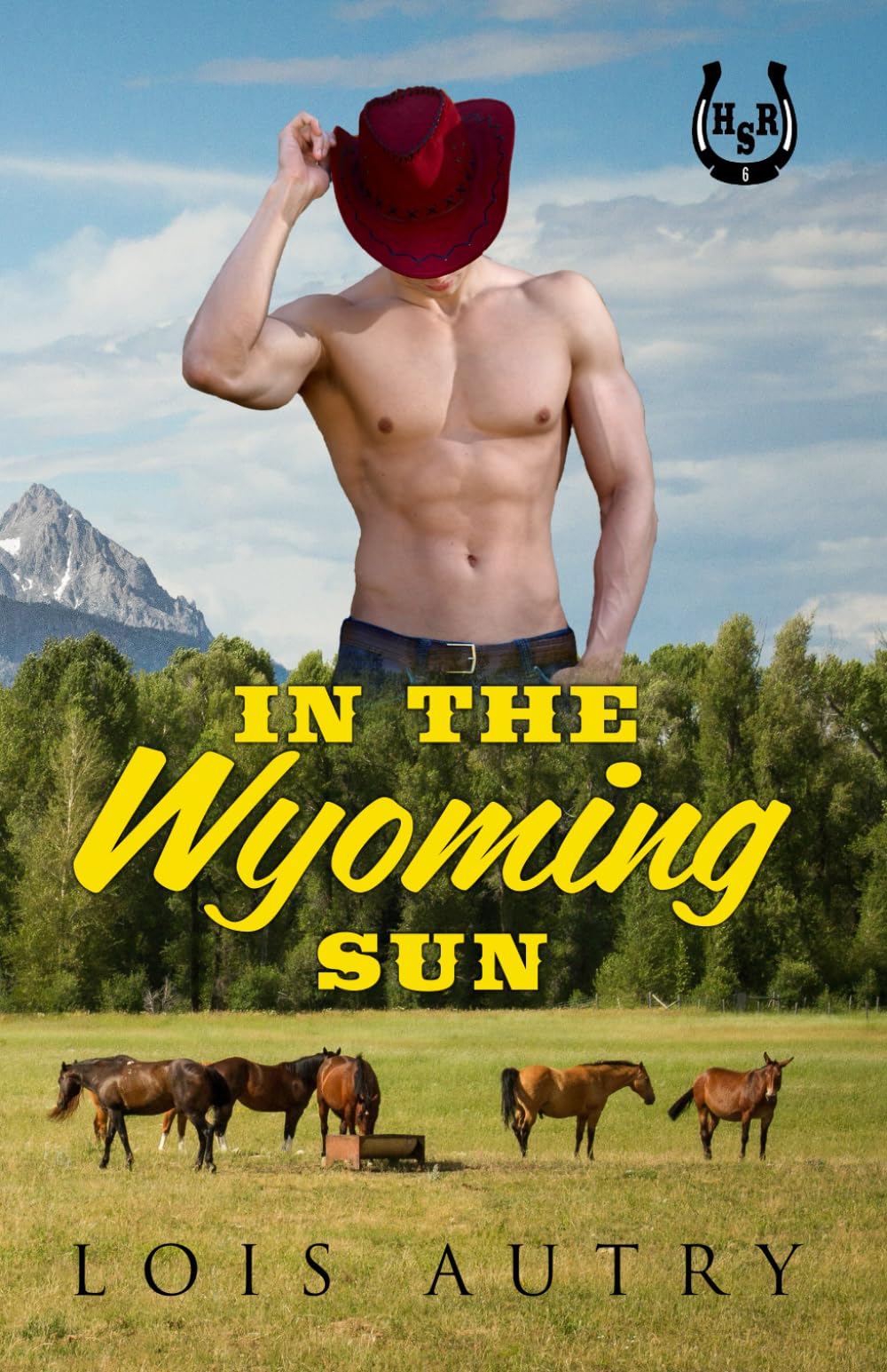 In the Wyoming Sun: A Friends-to-Lovers Romance (Hot Spring Ranch)