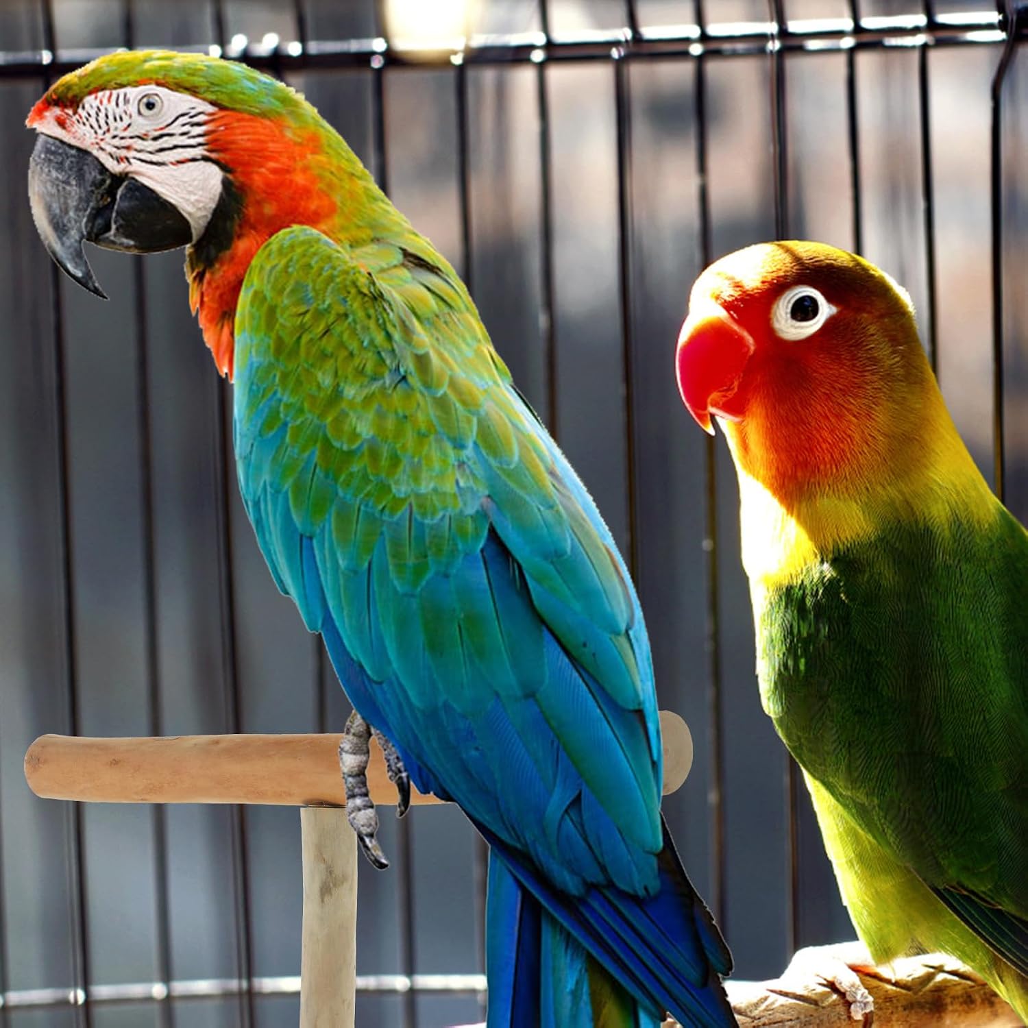 T Shaped Bird Stick Wooden Parrot Perch for Cage Resting image 4