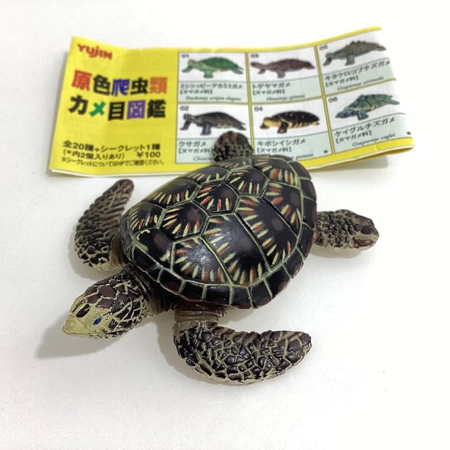 原色爬虫類カメ目図鑑［新改訂版］　シークレット3種含む18種フルセット 原色爬虫類カメ目図鑑［新改訂版］ シークレット3種含む18種フル