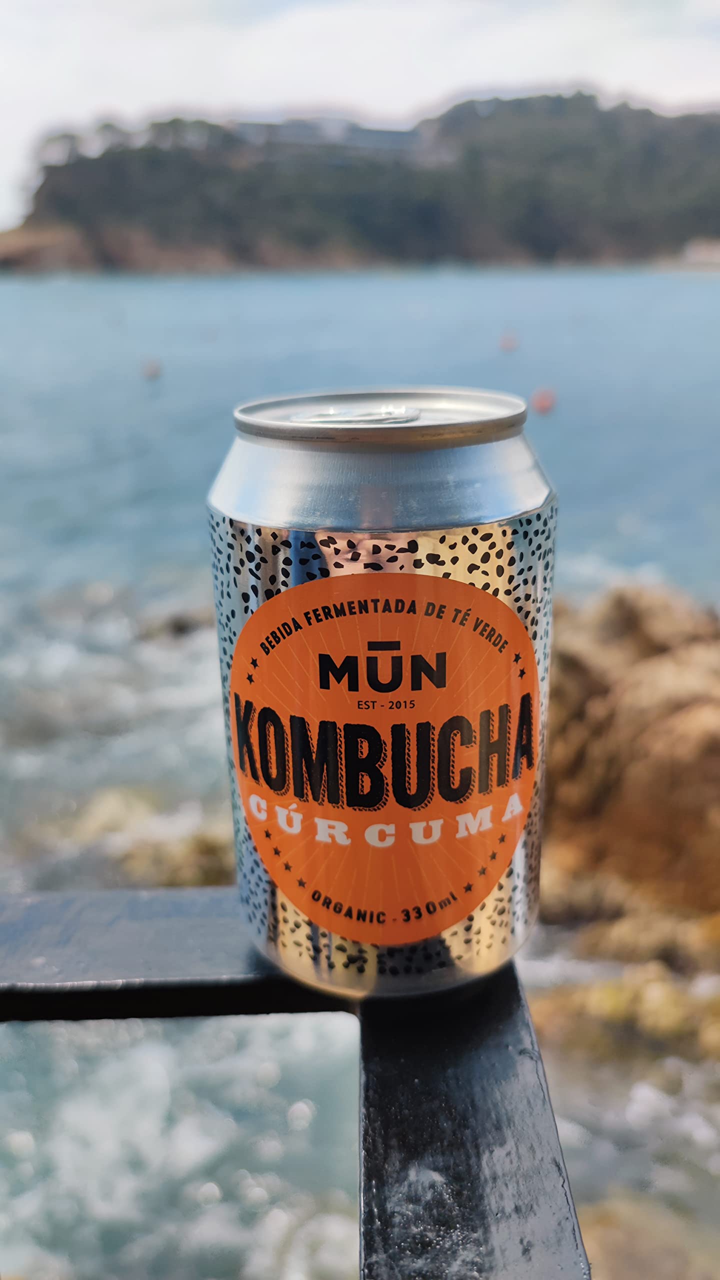 Mūn Ferments Té Kombucha Pack 12x330ml - Bebida Ecológica Con Probióticos - Té Kombucha Cúrcuma - Sin Azúcar Y Baja En Calorías - Latas Libres De BPA - Infusión Fermentada Artesanal - Libre De Gluten