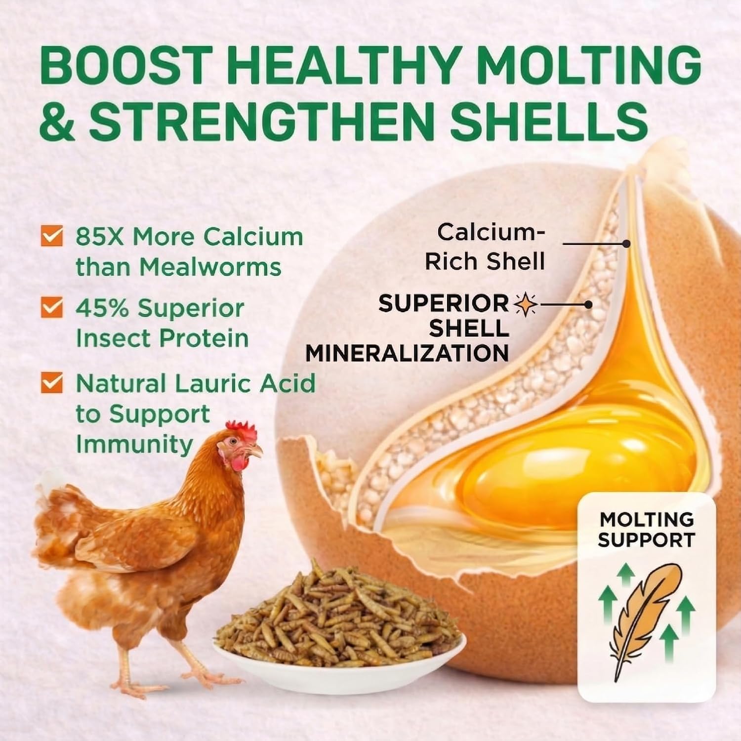 5LB Non-GMO Dried Black Soldier Fly Larvae for Chickens, 85x More Calcium Than Mealworms for Strong Eggshells and Healthy Molting, High Protein Grubs for Chicken, Ducks, Wild Birds