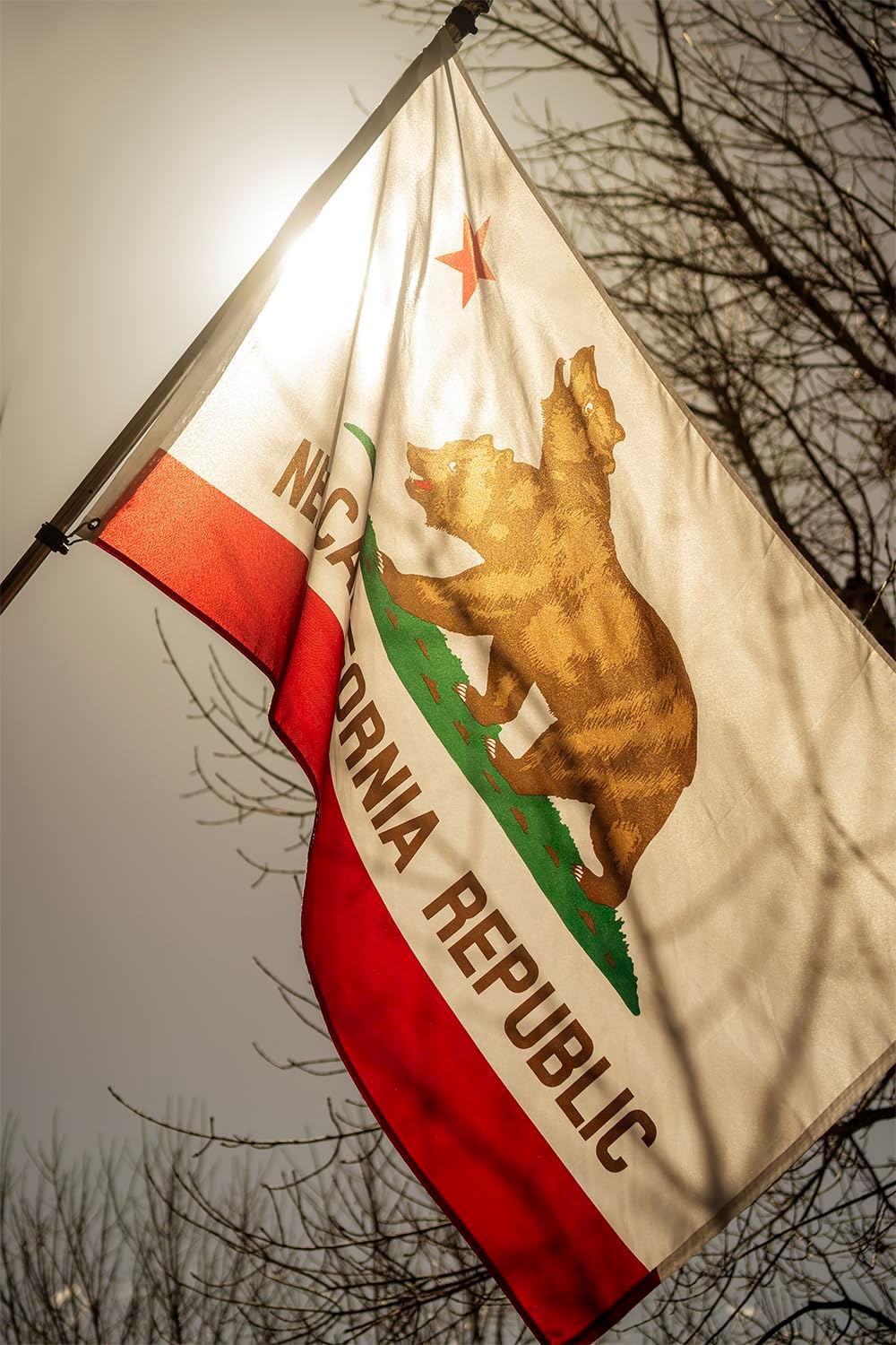 New California Republic Flag 3x5 Ft Outdoor Double Sided 3 Ply Polyester NCR CA New California Republic Bear Flags with 2 Brass Grommets - Image 2