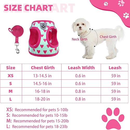 Miniatura 2 de KOOLTAIL Arnés para perro para perros pequeños y medianos, juego de arnés y correa para perro, sin tirones, de malla suave acolchada, ajustable y