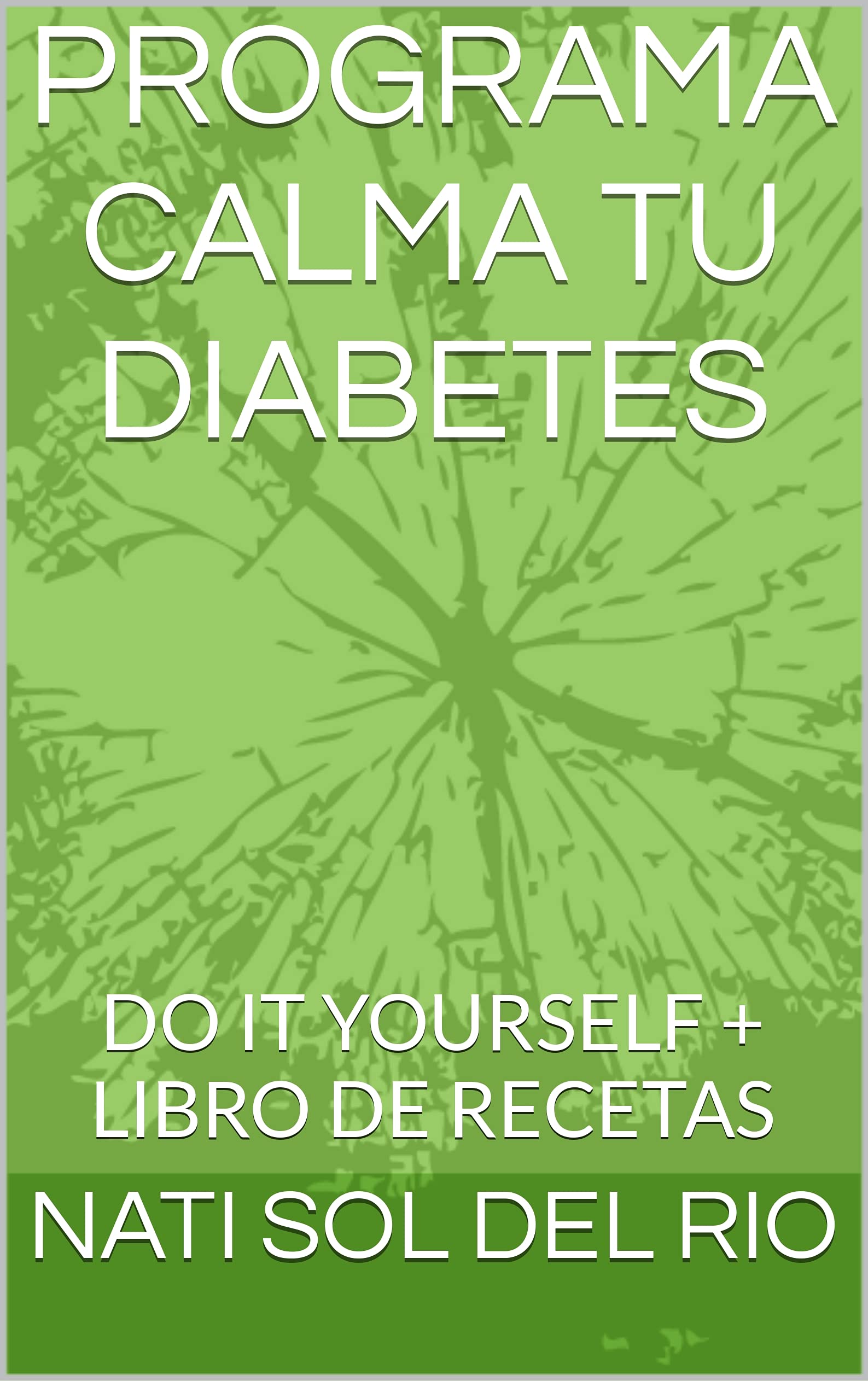 PROGRAMA CALMA TU DIABETES : DO IT YOURSELF + LIBRO DE RECETAS (Spanish Edition)