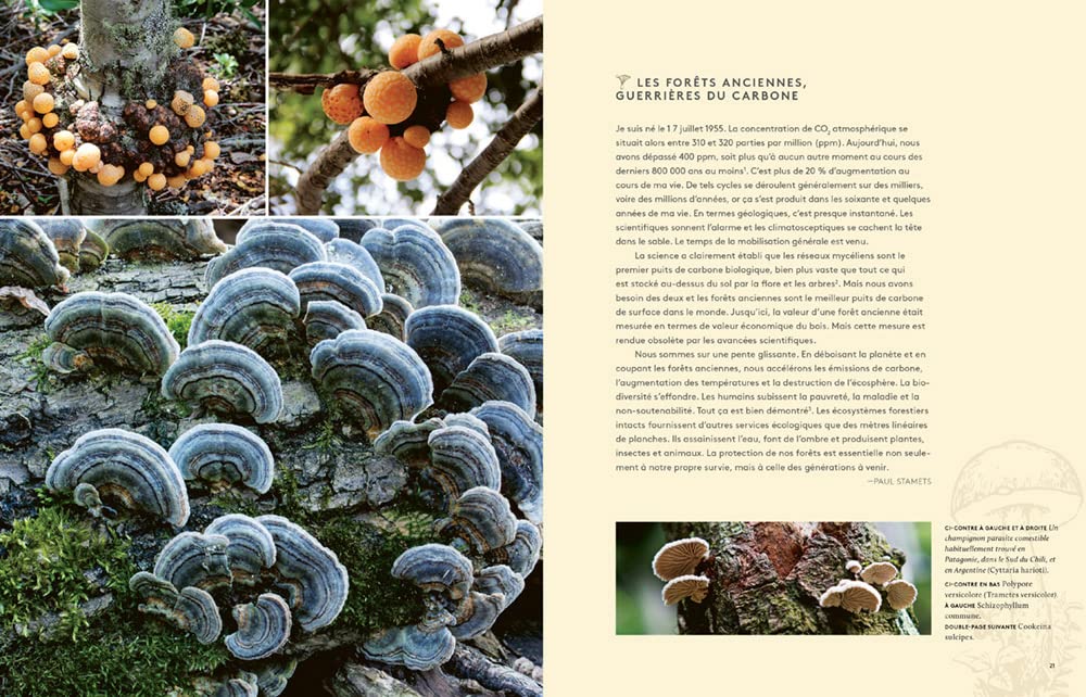 Hallucinants champignons - Leurs extraordinaires pouvoirs sur la santé, l'esprit et la planète