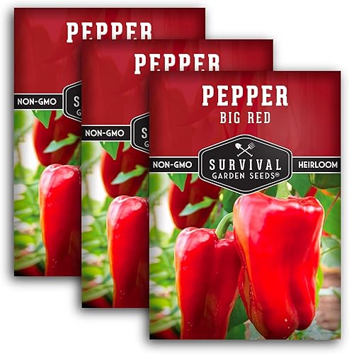 Survival Garden Seeds - Semilla de pimiento rojo grande para plantar - 3 paquetes con instrucciones para plantar y cultivar deliciosos pimientos