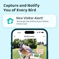 Vista 2 de NETVUE by Birdfy Smart Bird Feeder with Camera, Bird Watching Camera, Auto Capture Video&Motion Detection, 1080P Live Steam, Cardinal Feeder Outdoor