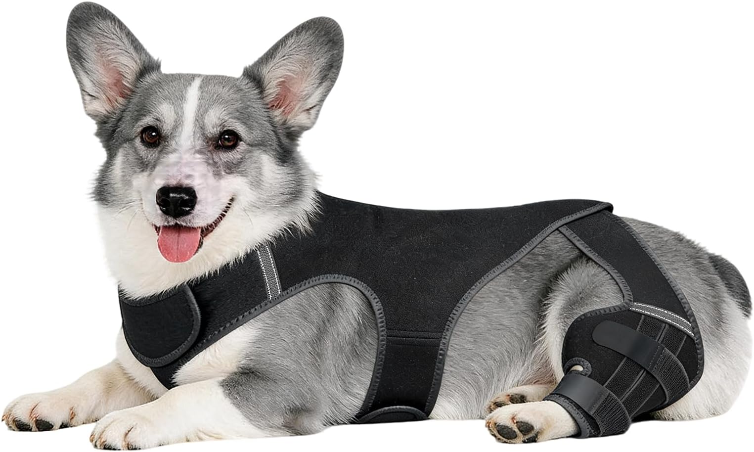 Dog Hip Brace,Adjustable Joint Sleeve | Dog Back Leg Support with 4 Metal Stabilizers - for Hiking Exercise Outdoor Activities Park Beach Travel Home