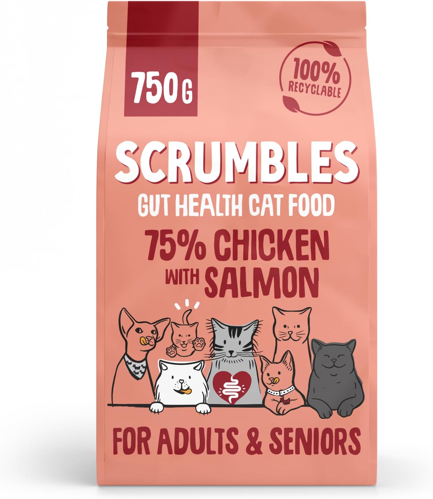 All Natural Dry Cat Food With 75% Chicken and Fresh Salmon, High Protein Food for Adults And Seniors, 750 g
