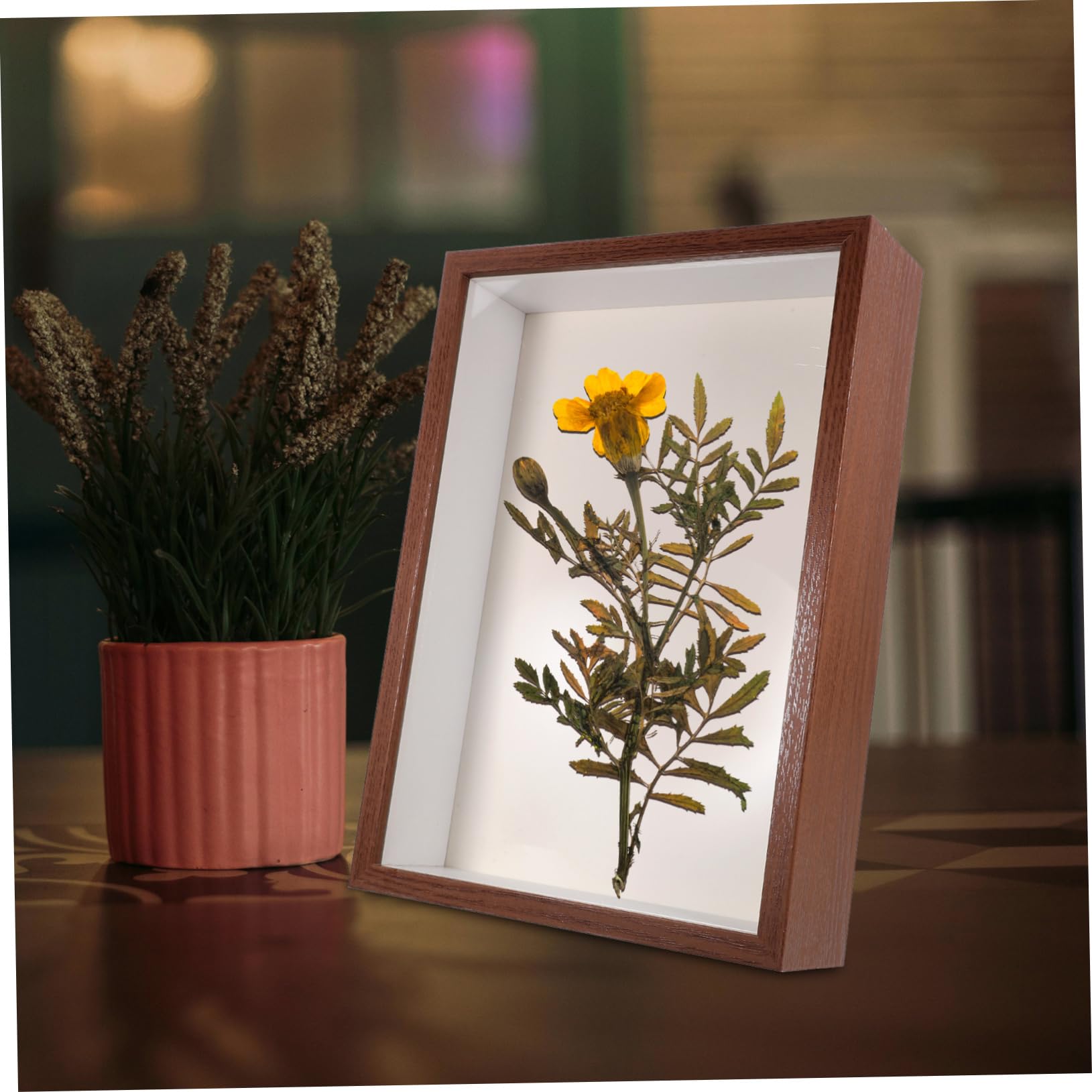 Cornice per Foto in Legno A3 Finestra Trasparente, Portafoto Fiori Secchi Protetti, Espositore Decorativo da Tavolo per Piante Pressate e Arredamento Casa