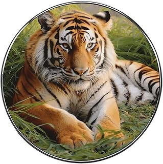 Tiger Laying on The Grass Magnetic Fridge Magnets - Cute and Fun Fridge Magnets - Home Decorations - Decorative Stickers for Refrigerators Cabinets and Dishwashers