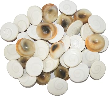 100% Pure Natural Gomti River Stone Gomati Chakra for Peace and Prosperity, Peace and Prosperity and Energized Polish 21 Gomti Chakra