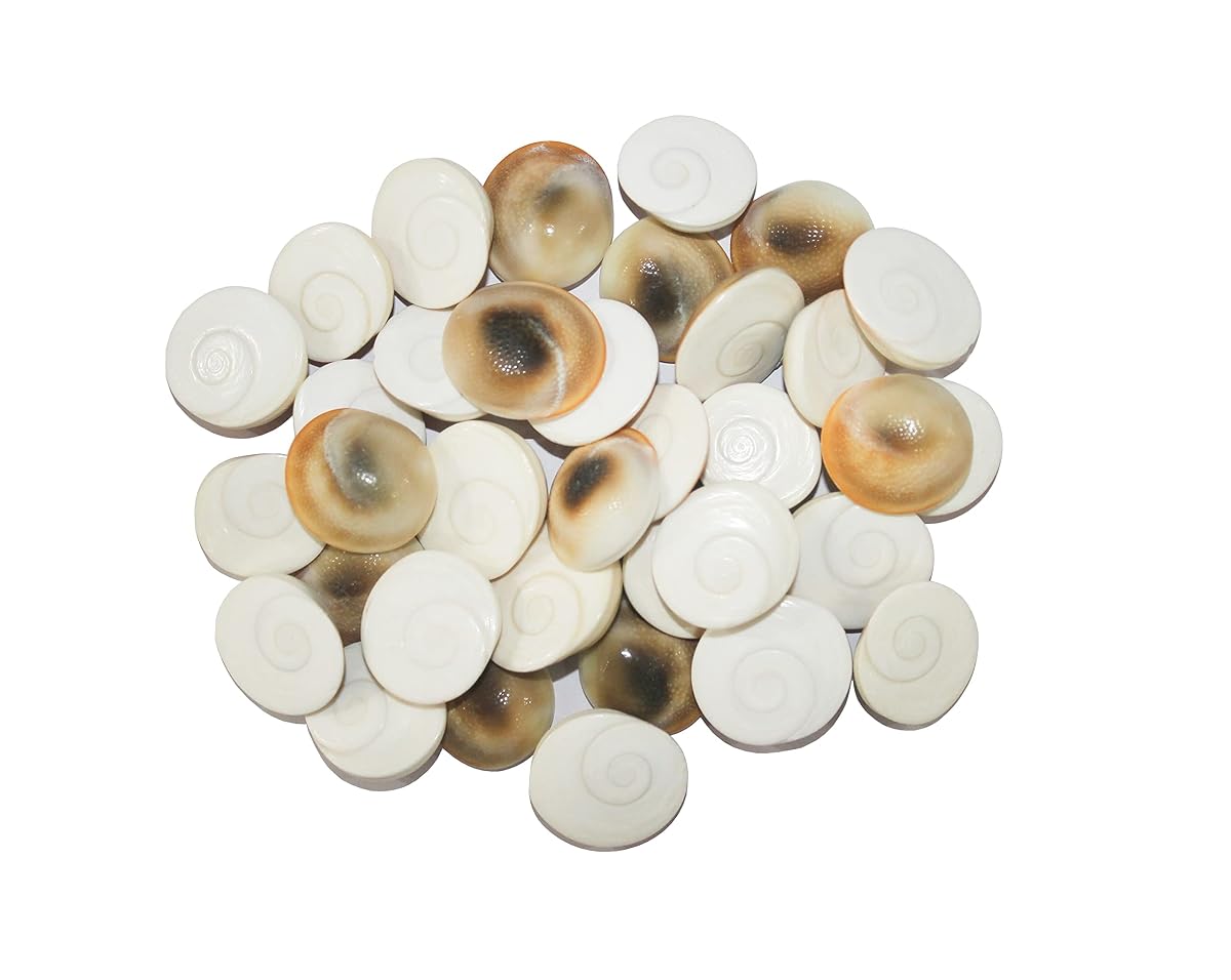 GRI9 100% Pure Natural Gomti River Stone Gomati Chakra for Peace and