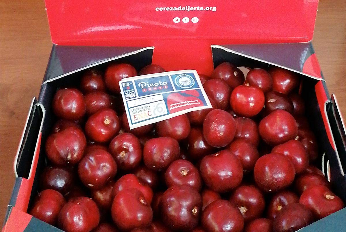 Arbol de Cerezo Picota Valle del Jerte con D.O.P de Viveros la Berrocosa Medida Maceta 22 cm Altura aprox.de 1,30 m. Cereza Roja