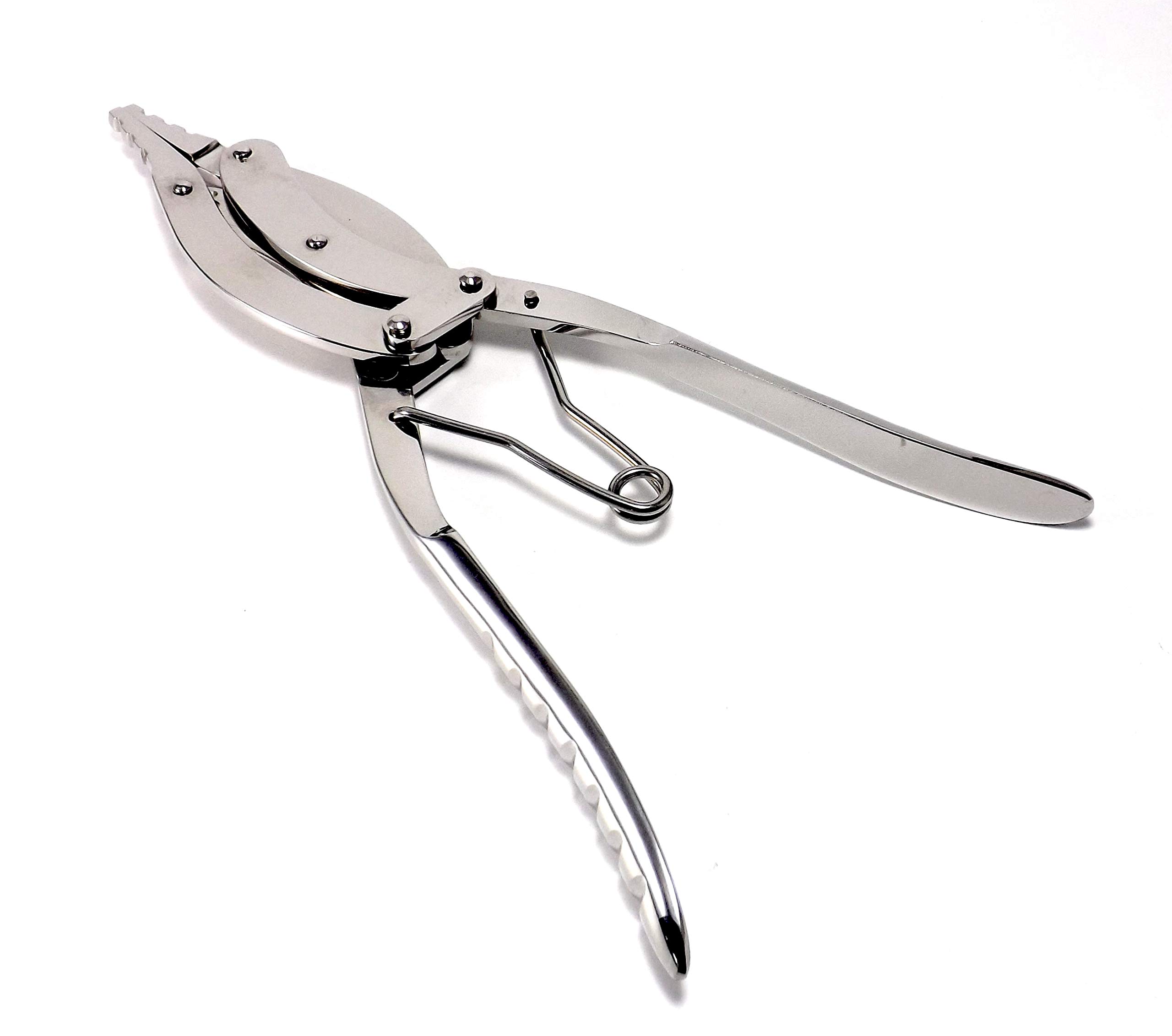 INKgrafiX® IG51820 - Alicates para abrir anillos (tamaño XXL, acero inoxidable)