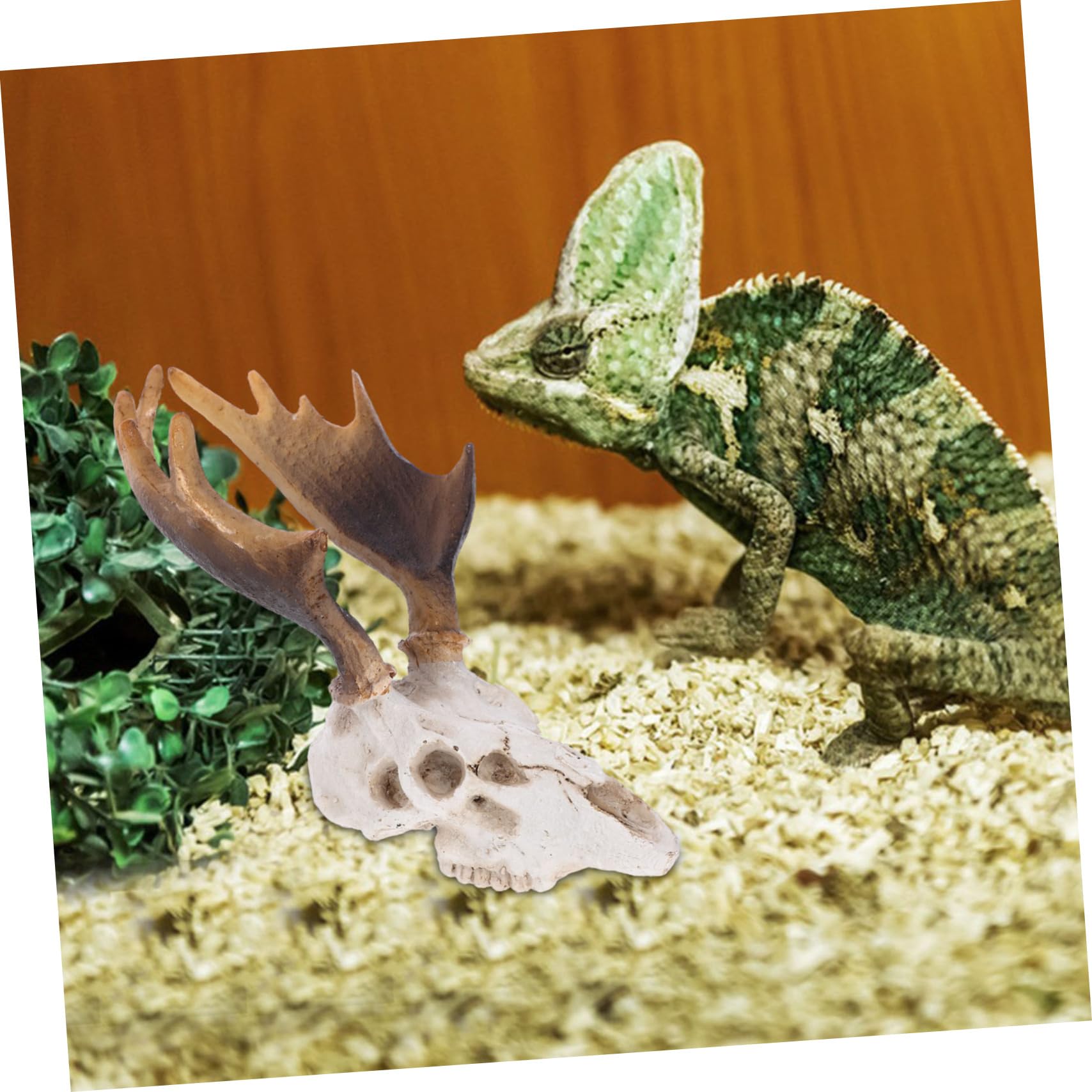 Happyyami Reptile Tank Decor Deer Skull Ornament Durable Hideout for Reptiles Aquariums Compact Design for Habitat Decoration Eye Catching Skull Adornment for Tanks