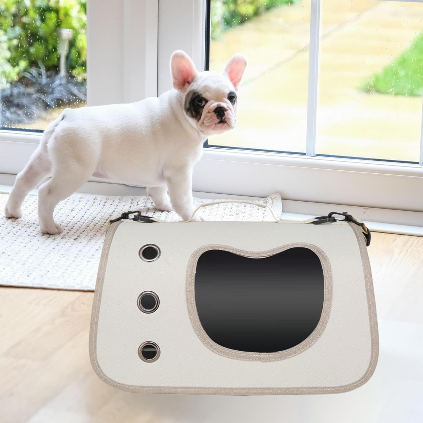 Borsa Trasportino Per Animali Domestici, Regolabile Sicuro Per Gatti, Trasporto Animali Portatile Soluzione per Passeggiate Picnic Campeggio