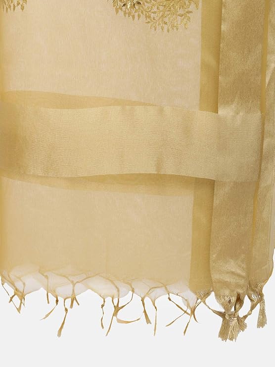 DUPATTA BAZAAR Woman's Organza Dupatta with Gold Embroidery