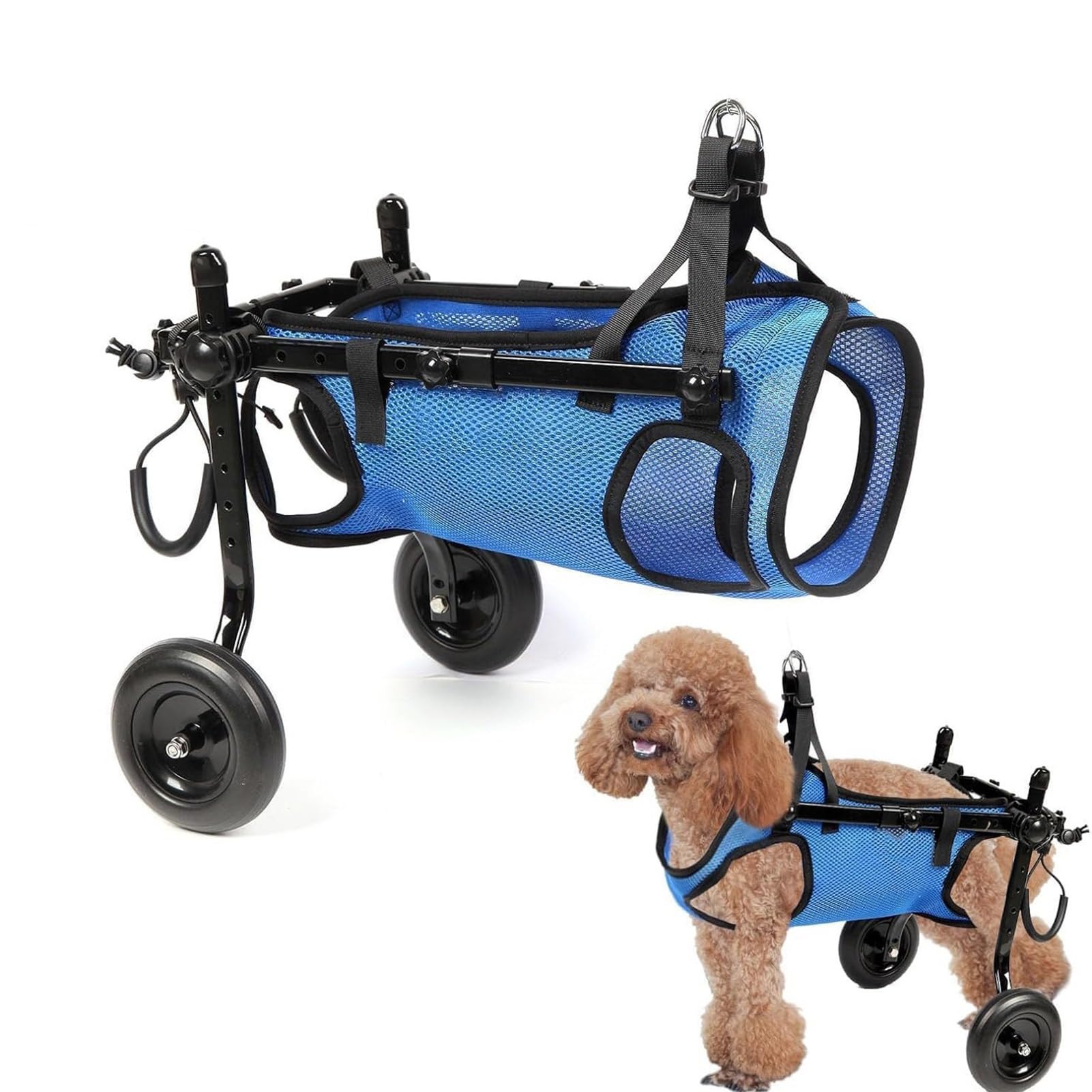 Sedia a rotelle regolabile per animali domestici, 4 ruote, con supporto per gambe posteriori per cani e gatti disabili