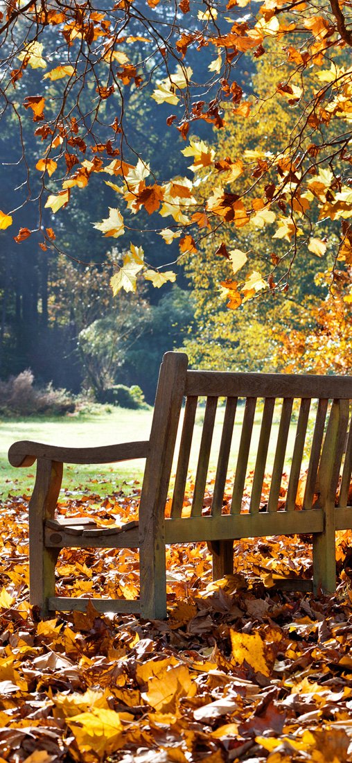 PeelitStickit Autumn Park Nature Wallpaper, Wall Mural ID-001, vinyl