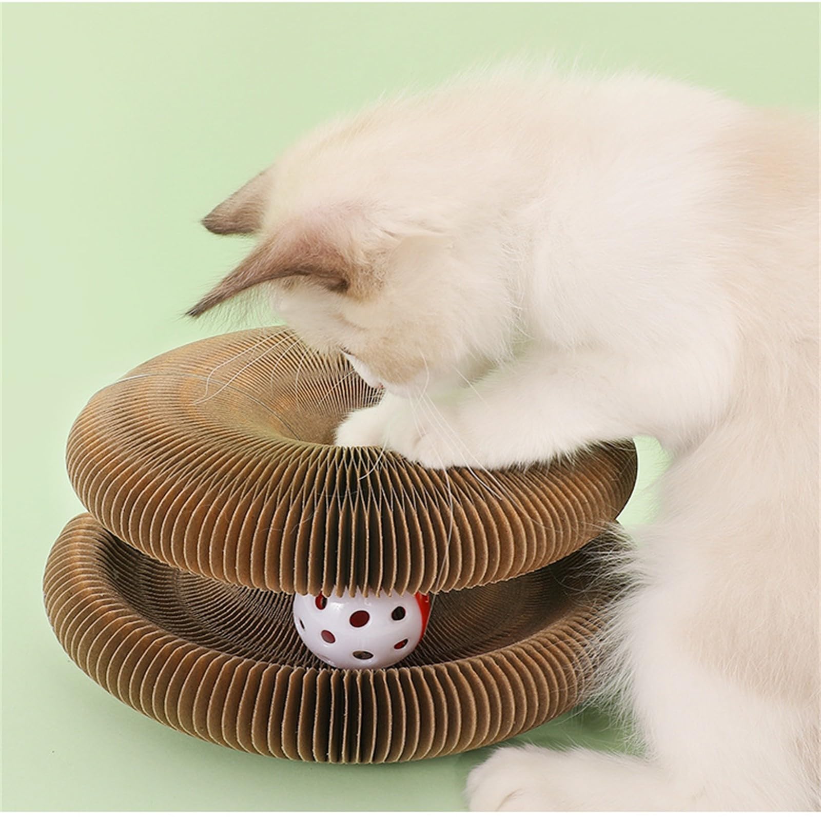 Amazon.com : Kitty Kurlz Cat Toy, Magic Organ Cats Scratching