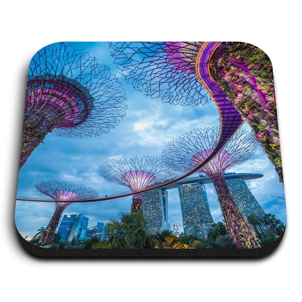 1 x Square MDF Fridge Magnet - Gardens by the Bay Singapore 12725
