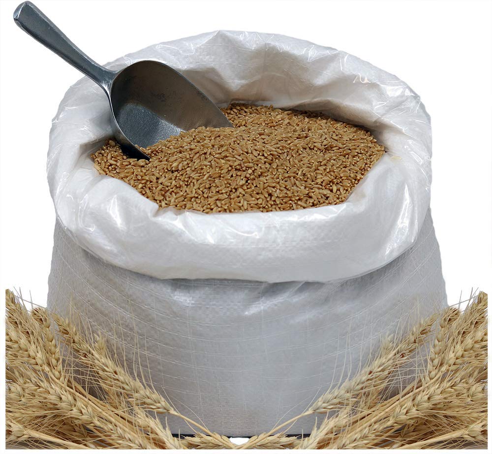Organic Hard White Wheat Berries 24lbs Grocery