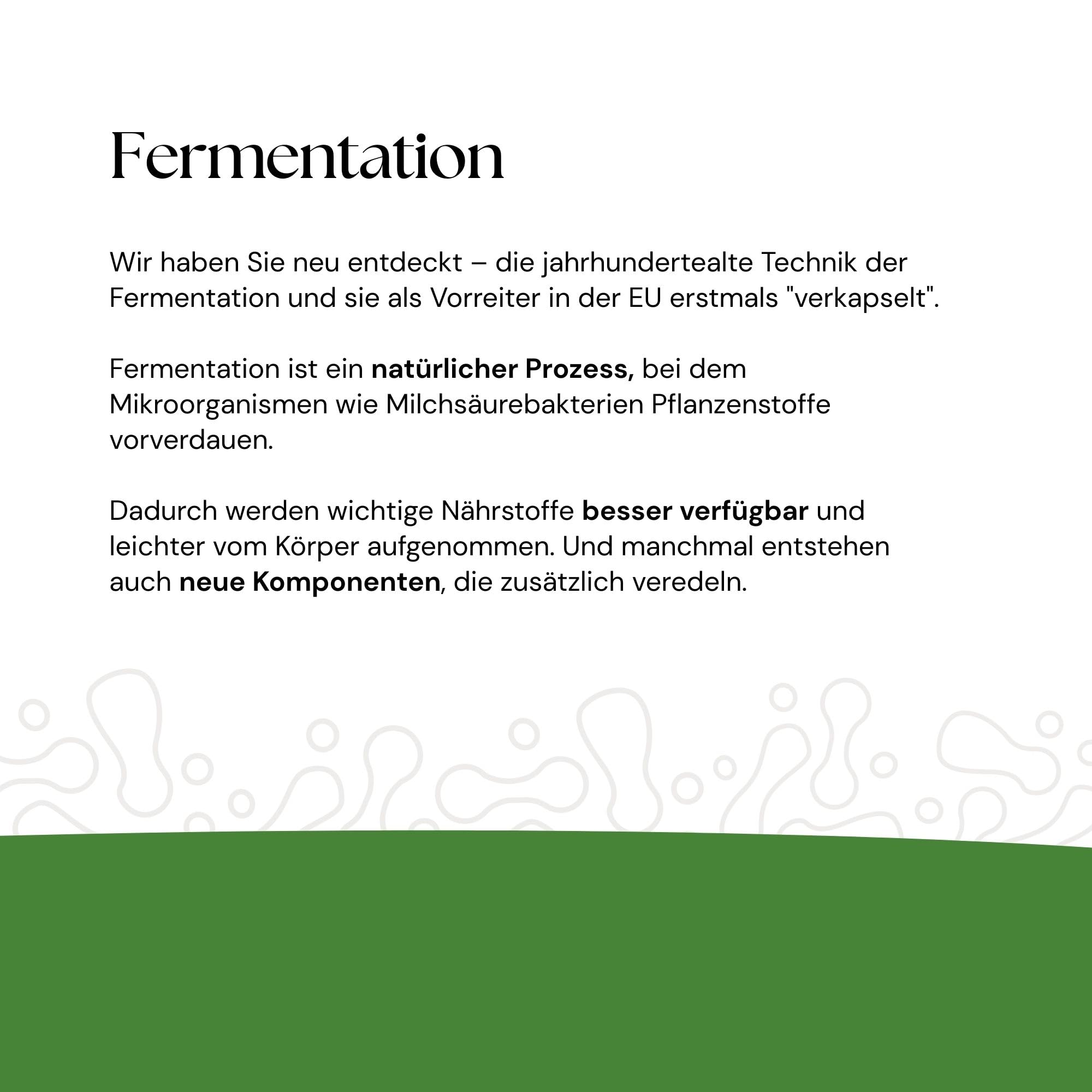 Fermentierte Ginkgo Kapseln - Ginkgonuss & Ginkgo Biloba Extrakt - 60 Kapseln vegan und glutenfrei - Zwei-Monats-Ration