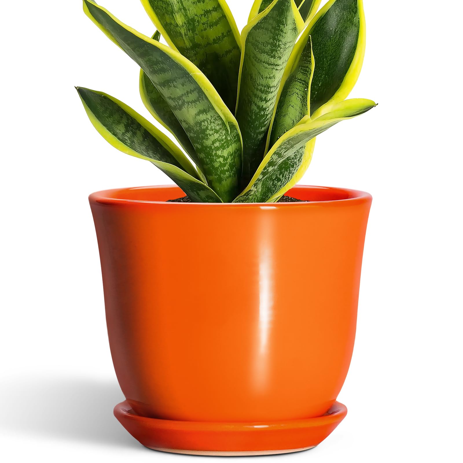 Pot de fleurs en céramique haut de gamme de 20cm avec trou de drainage